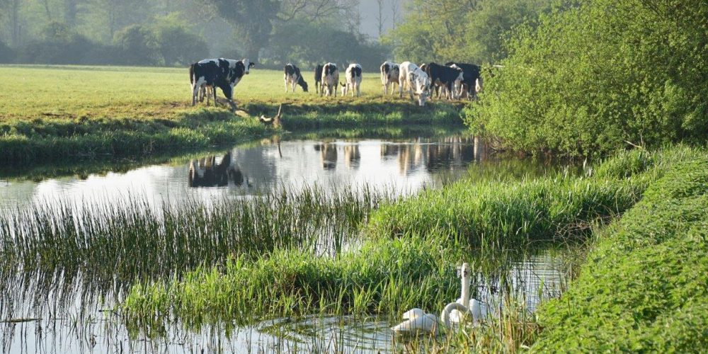 Earsham Wetland Centre