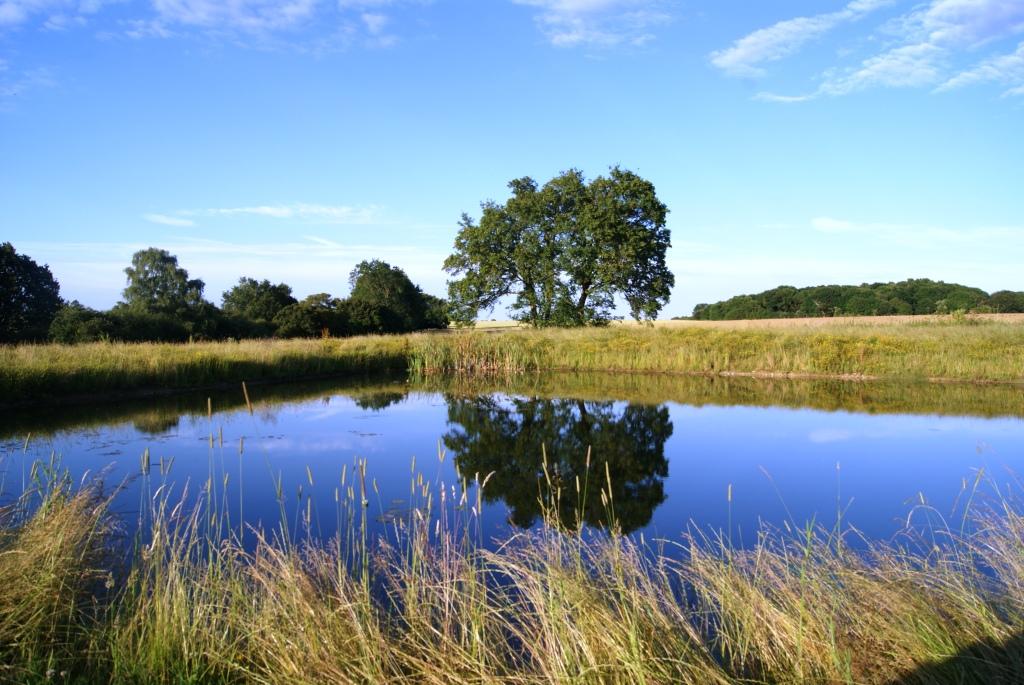 Old Rectory Cottages Flixton to Bungay